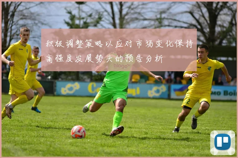 积极调整策略以应对市场变化保持高强度发展势头的预告分析
